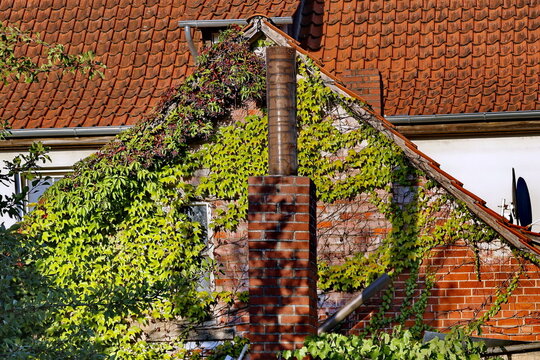 Hinterhof in Exten