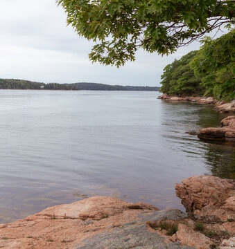 Pink Granite Rocky Shore at Tennis Preserve Deer Isle Maine