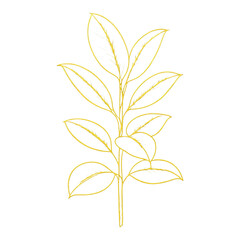 Obraz premium PNG Minimalist golden leaf illustration