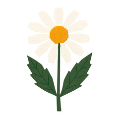 Obraz premium PNG Whimsical daisy illustration with leaves.