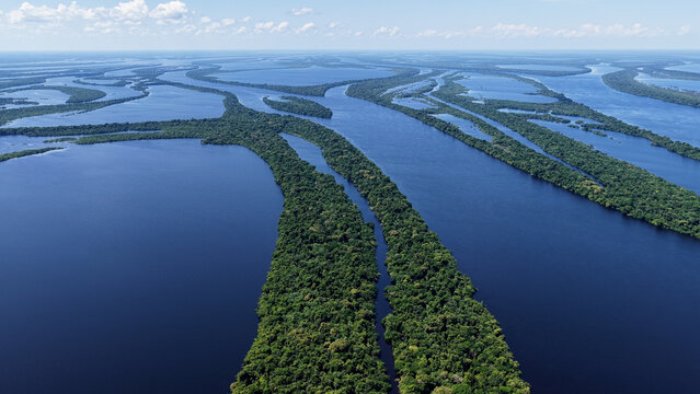 Anavilhanas National Park At Novo Airao In Amazonas Brazil. Amazon Rainforest. Riverside Islands. Wildlife Background. Anavilhanas National Park In Novo Airao In Amazonas Brazil. Beautiful Landscape.