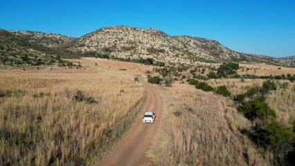 Obraz premium Wild Road At Pilanesberg National Park In North West South Africa. African Animals Landscape. Pilanesberg National Park. Pilanesberg National Park At North West South Africa. Big Five Animals.