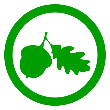Icono con dibujo sencillo en un c&iacute;rculo de la silueta de una hoja de roble con semilla de bellota o nuez en una rama de &aacute;rbol