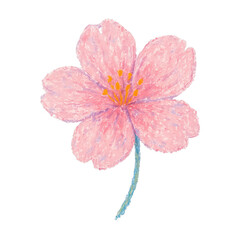 Obraz premium PNG Pastel cherry blossom illustration