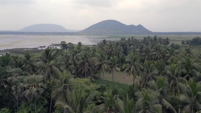 Aerial View of Kondakarla Ava Lake and Lotus Wetland Near Visakhapatnam Andhra Pradesh