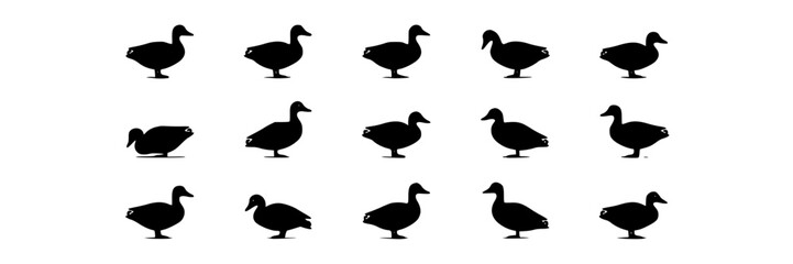 Obraz premium Ducks, Minimalist Silhouette Design, Black Vector Illustration. Simple Animal Icon, Modern Graphic Element