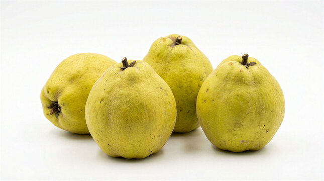 Four fresh whole quince fruits arranged together on a clean and bright white background surface
