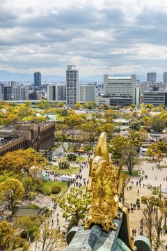 City view with skyscrapers and Osaka Castle Park with cherry blossoms, view from Osaka Castle with golden Shachihoko fish dragon figure, Chuō-ku, Osaka, Japan