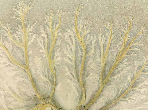 Abstract patterns at low tide in the marshland of the Nature Reserve La Bre&ntilde;a y Marismas del Barbate. Aerial view. Drone shot. C&aacute;diz province, Andalusia, Spain