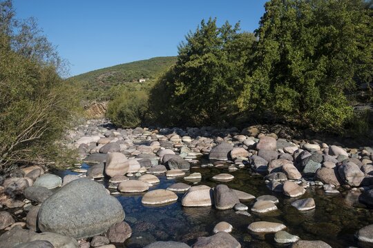 Stones in the Fango river, Tuarelli, Fango valley, Vall&eacute;e du Fango, Haute-Corse, Corsica, France