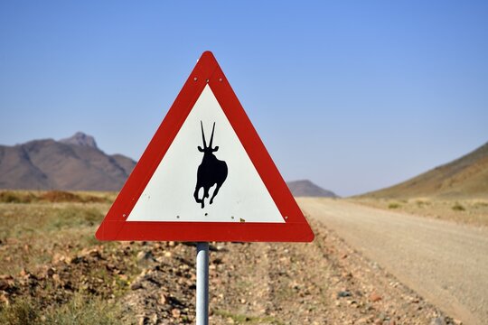 Road sign warns of crossing Oryx antelopes, Namibia