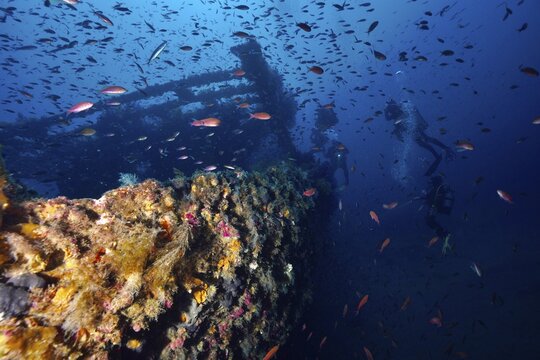 Two divers explore a shipwreck surrounded by a variety of small fish, Mediterranean sea bass (Anthias anthias), in the Mediterranean near Hy&egrave;res, wreck Le Grec dive site, Giens Peninsula, Porquerolles, Provence, C&ocirc;te d'Azur, France