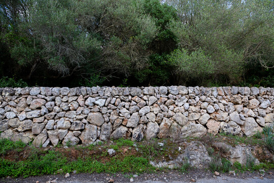 Menorca dry stone wall with green meadow and trees
