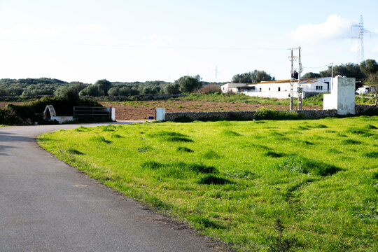 Menorca dry stone wall with green meadow and trees
