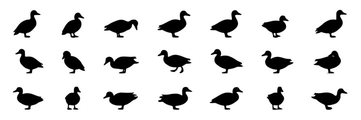 Obraz premium Waterfowl, Silhouette Icons Set, Black Vector Illustrations. Bird Icons, Wildlife Design Elements, Nature Concept.