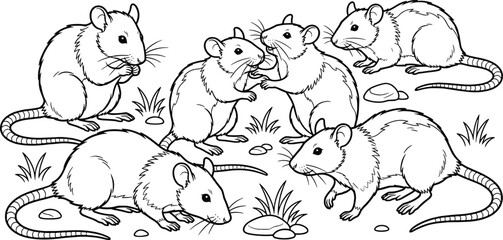Fototapeta premium Black and white line art illustration of a group of cute interacting rats for kids coloring book page
