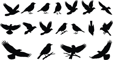 Fototapeta premium Set of bird silhouettes, flying and perched avian vector icons, black raven and sparrow shapes, nature wild wings isolated elements, collection