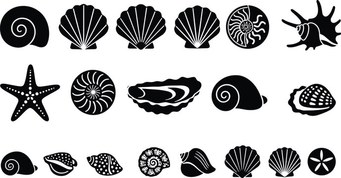 Set of black seashell silhouettes, marine ocean shells vector, starfish and conch icons, summer beach isolated elements, underwater nature design