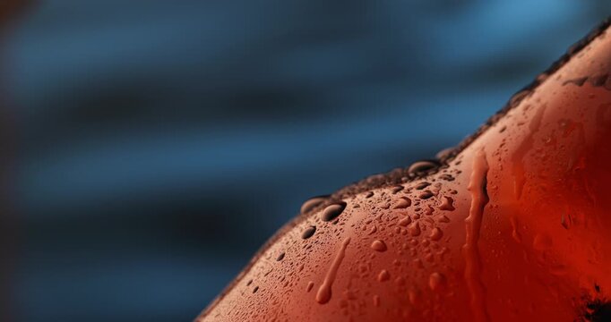 Slow motion close up of cold red beverage glass beer bottle with condensation against blurred blue studio background.