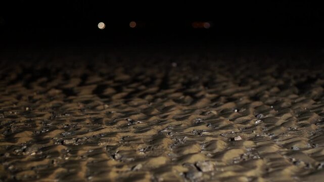 UNESCO World Heritage Gochang Sand Mudflat Tidal Flat Coastal Landscape Nature Korea 유네스코 세계유산 세계자연유산 고창갯벌 모래갯벌 서해안 해안풍경 자연 한국