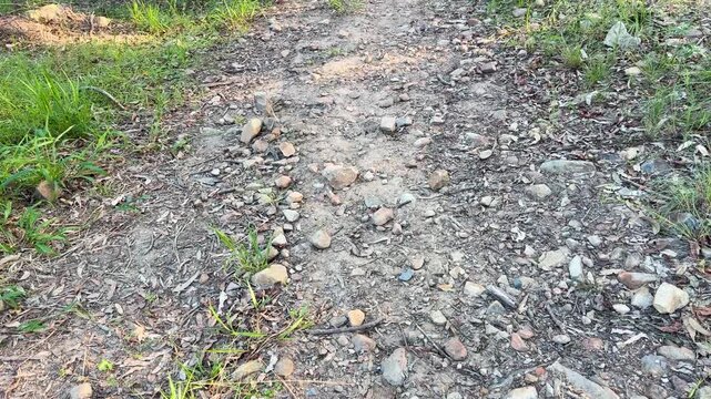 POV walking on a rocky dirt path surrounded by green grass and dry leaves.