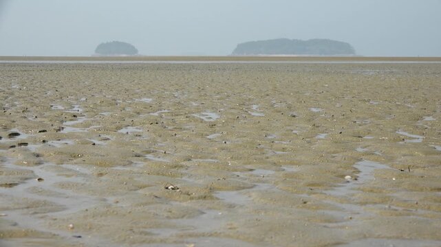 UNESCO World Heritage Gochang Sand Mudflat Tidal Flat Coastal Landscape Nature Korea 유네스코 세계유산 세계자연유산 고창갯벌 모래갯벌 서해안 해안풍경 자연 한국