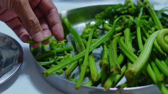 Chef preparing fresh fiddlehead ferns for cooking