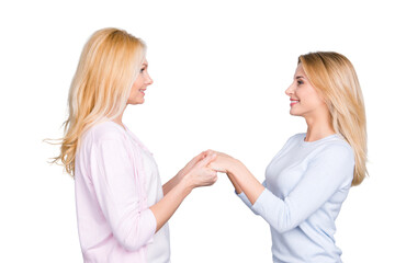 Profile portrait of charming funky sweet lovely similar mother and daughter in casual outfit looking at each hand in hand isolated over grey background © deagreez