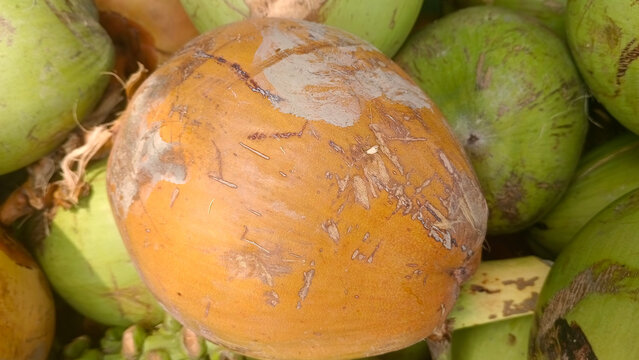 A vibrant cluster of fresh green and bright orange young coconuts piled together, showcasing rich tropical textures and natural summer colors. High-quality shot perfect for healthy lifestyle and bever