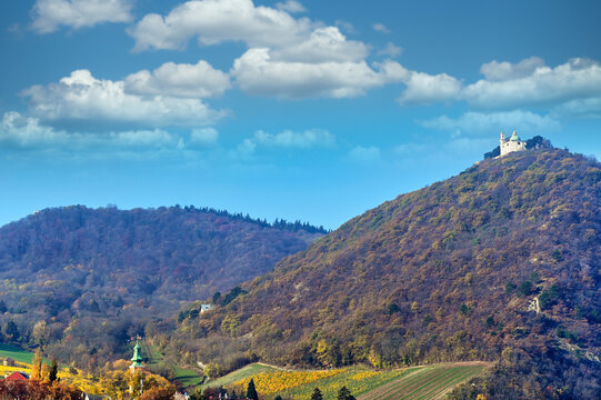 Panoramic View of Vienna Vineyards and Historic Leopoldsberg Hill in Autumn, Austria