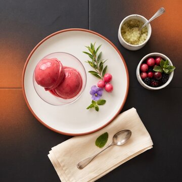 Lilly Pilly Sorbet with Native Berry Flavor, Restaurants and Patisseries Style Presentation