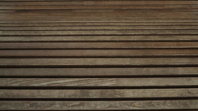 Wood texture. The surface of an old aspen tree in a park near a pond.