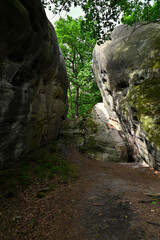 A vertical shot capturing the contrast between a smooth, rounded boulder and a weathered sandstone wall inside the Bílé kameny (Elephant Stones) formation. © Pol Badger