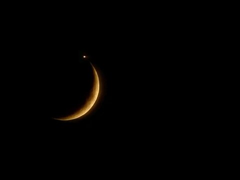 Thin glowing crescent moon and bright star shining in dark blue twilight sky above silhouetted tree leaves and sunset gradient for serene evening nature landscape photo   