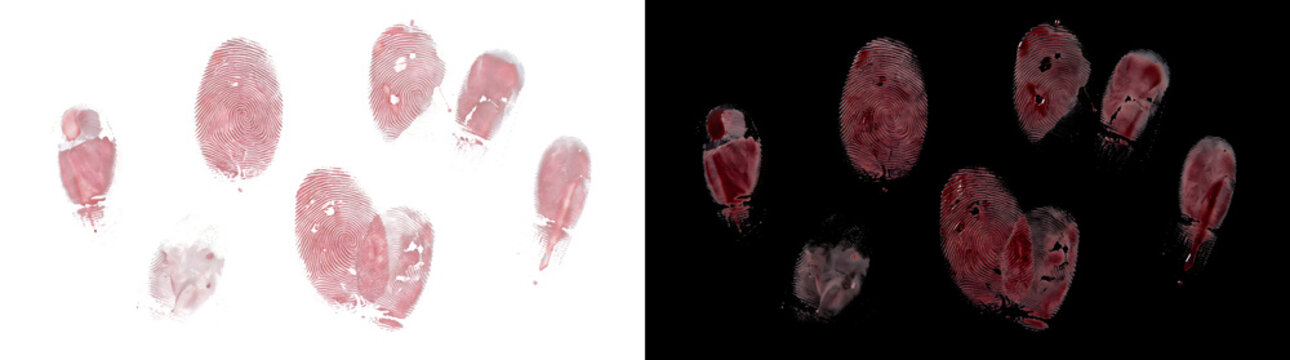 Bloody fingerprint wide spread with red smudges arranged loosely for design in PNG, Transparent and Black Background Versions
