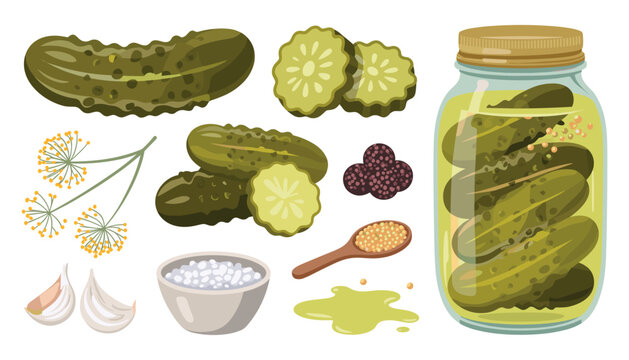 Pickled Cucumber and Dill Vector Icon Set featuring Glass Gherkin Jar, Slices, Garlic Cloves, Mustard Seeds, Peppercorns, and Salt for Homemade Preservation Designs