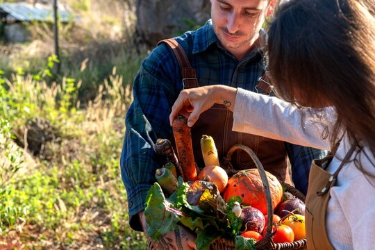 Harvesting fresh organic vegetables outdoors.