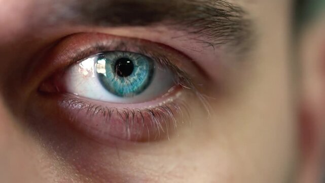 Close up Person Eye With Blue Iris. face of Child Looking at Camera. Macro Shot Opening and Closing green Eyes Little Girl. Motion of Children Eyes. Human Eye Iris Opening Pupil. man male. woman