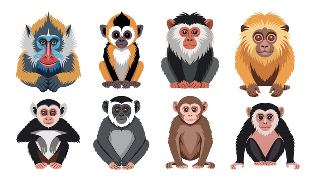 Wild Monkey Species Vector Icon Set featuring Mandrill, Chimpanzee, Macaque, Orangutan, Gibbon, and Baboon Character Illustrations for Jungle Wildlife Designs