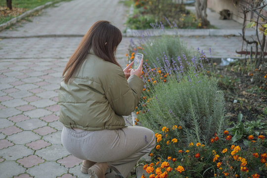 Person taking pictures of flowers in a garden during the evening