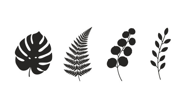 Silhouette icons of various tropical leaves and fern fronds showcasing elegant natural organic plant structures.