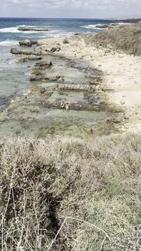 Dor Beach, Israel, Unidentified people sitting on the remains of an ancient port in the Mediterranean Sea at Dor Beach near Zichron Yaakov, surrounded by rocky coastal formations an