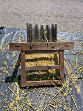 Traditional Rice Threshing Tool During Harvest in South Korea