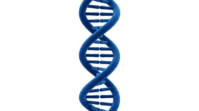 Blue DNA double helix strand model representing genetics and biological science research with genetics molecular structure