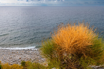 The picture shows a rocky stretch of coastline with the blue sea and Mediterranean vegetation such as agaves and dry scrub. © Sabine