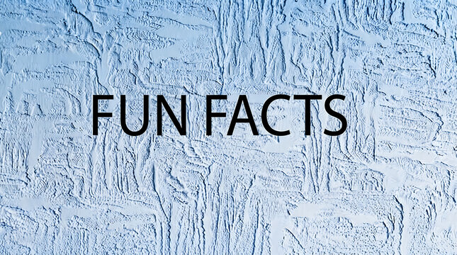 Fun Facts text written on a textured light blue plastered wall background with copy space