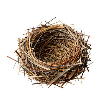 Close-up view of an empty bird's nest made from dry grass and twigs