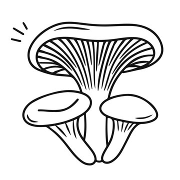 Lentinus mushrooms in clean black and white line art with a large central cap and smaller tilted mushrooms. Doodle