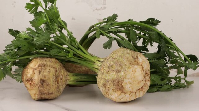 celery roots zoom on ligt surface harvest concept