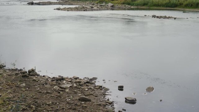 Record-low water levels in the Vistula expose riverbed and reshape landscape impacted by climate change